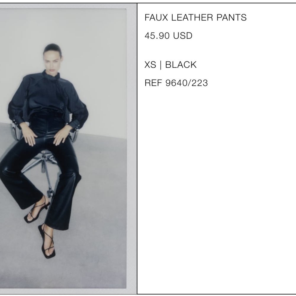 Zara Leather pants